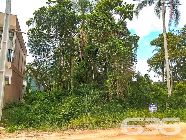 Descubra o potencial deste terreno maravilhoso em
