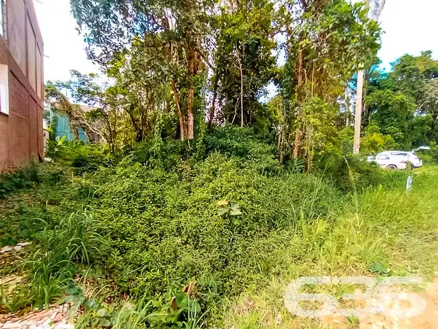 Descubra o potencial deste terreno maravilhoso em