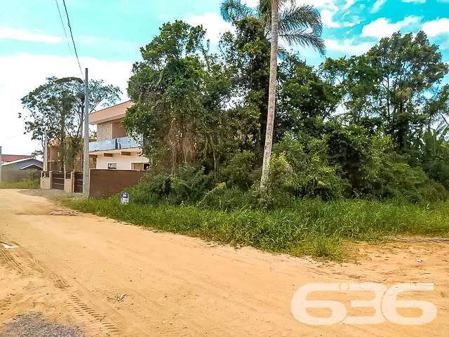 Descubra o potencial deste terreno maravilhoso em