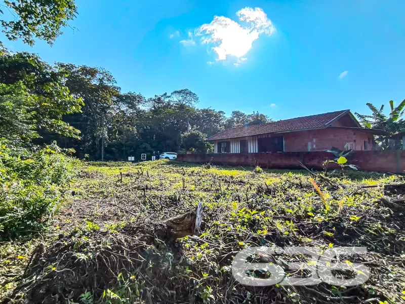 Terreno plano com face norte em meio à natureza em