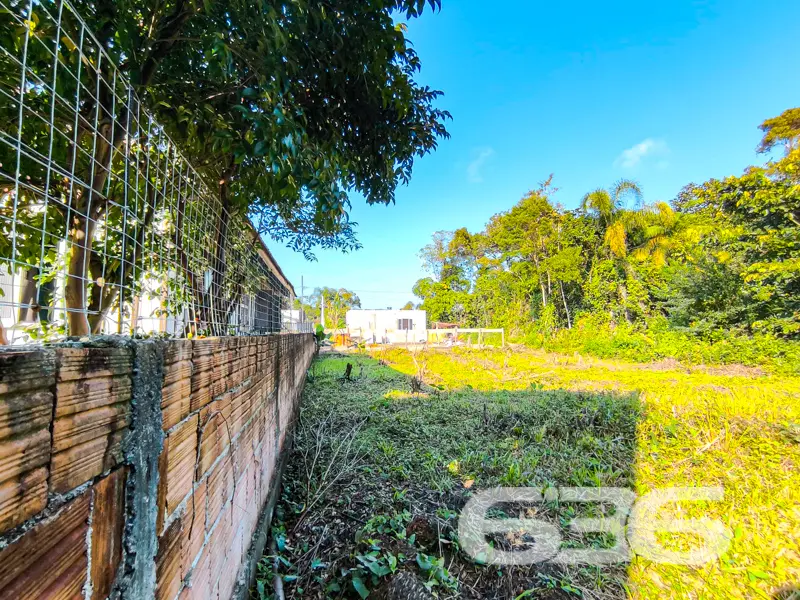 Terreno plano com face norte em meio à natureza em