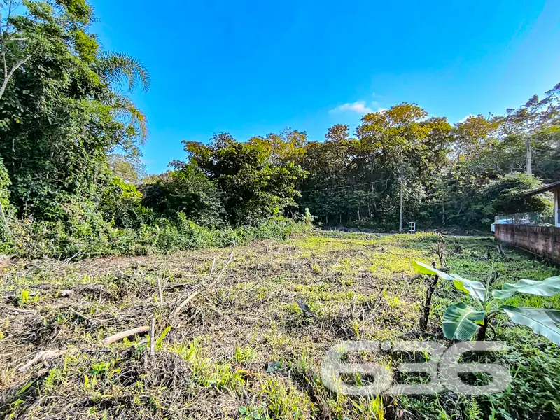 Terreno plano com face norte em meio à natureza em