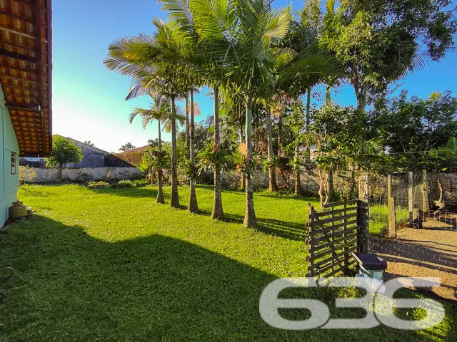 Com a experiência de mais de 30 anos no mercado im