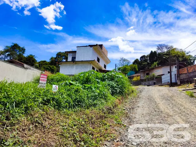 Terreno - Floresta - Joinville