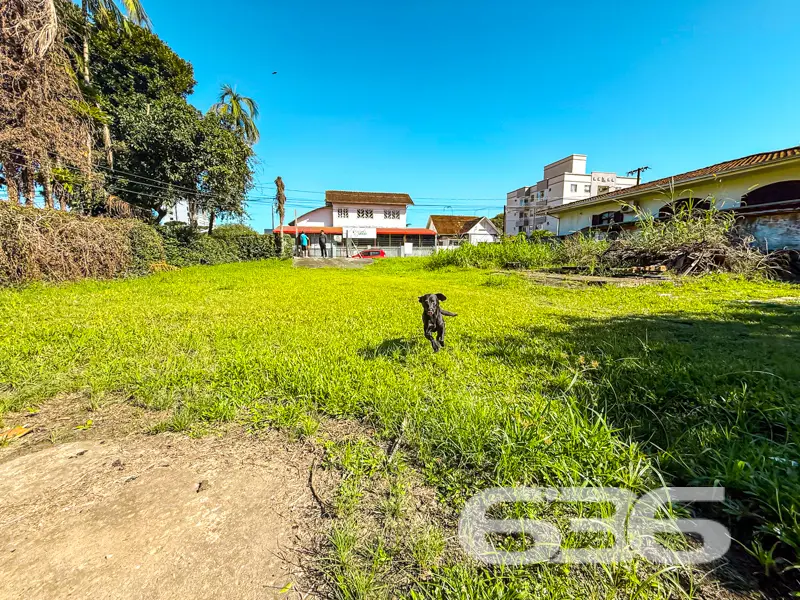 Terreno plano com 800m² à venda no bairro Anita Ga
