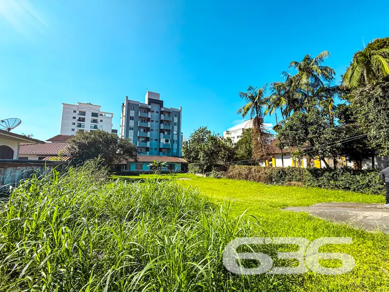 Terreno plano com 800m² à venda no bairro Anita Ga