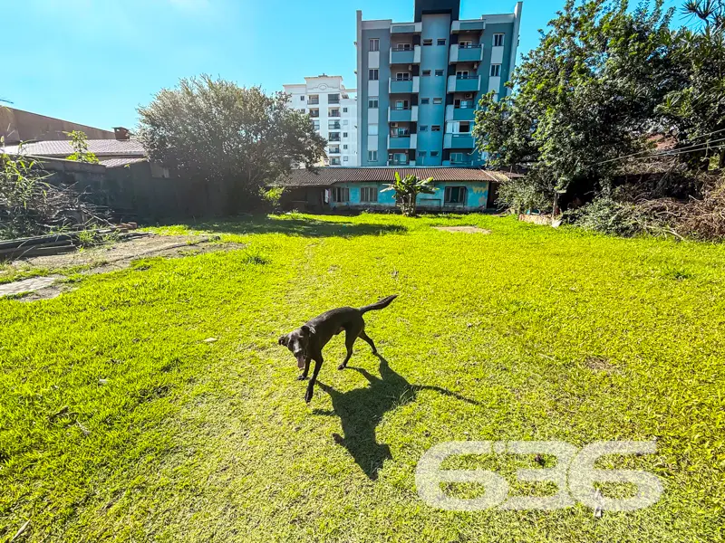 Terreno plano com 800m² à venda no bairro Anita Ga