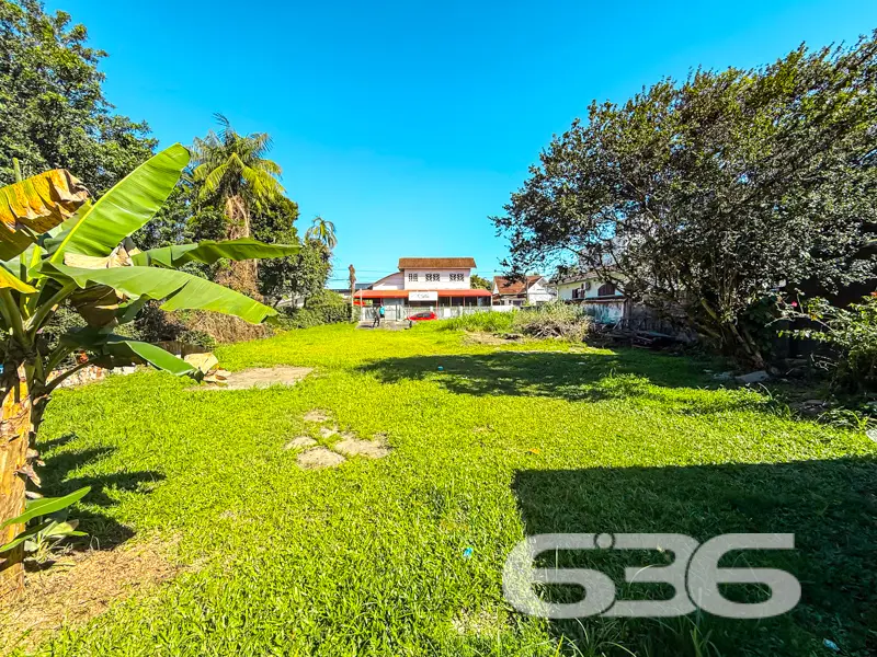 Terreno plano com 800m² à venda no bairro Anita Ga