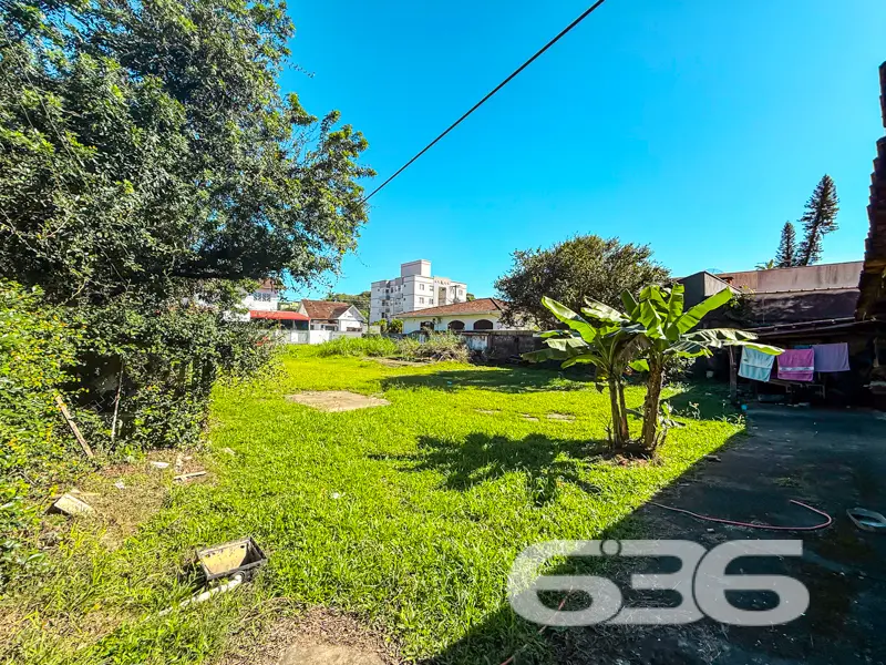 Terreno plano com 800m² à venda no bairro Anita Ga