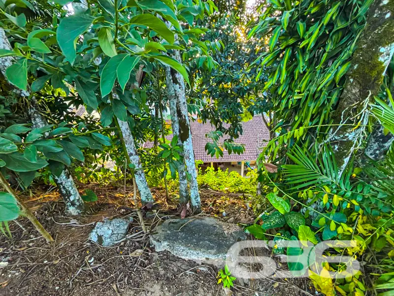 Residência térrea ampla, terreno com 888m² e edícu