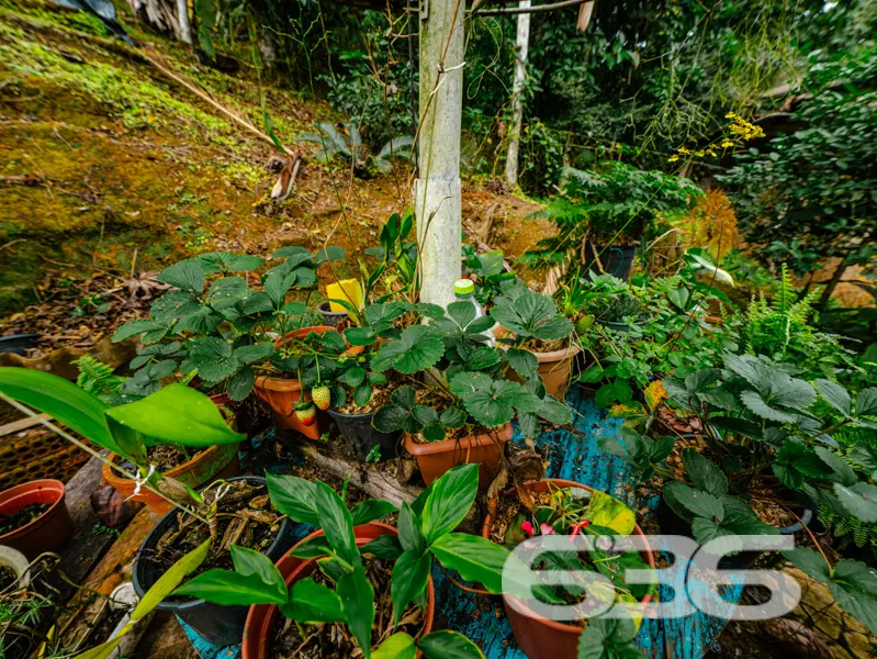 Amplo terreno com mais de 5.000 m² em Joinville: l