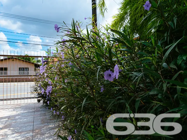 BAIRRO FLORESTA - SOBRADO COM SUÍTE MASTER + 4 DOR