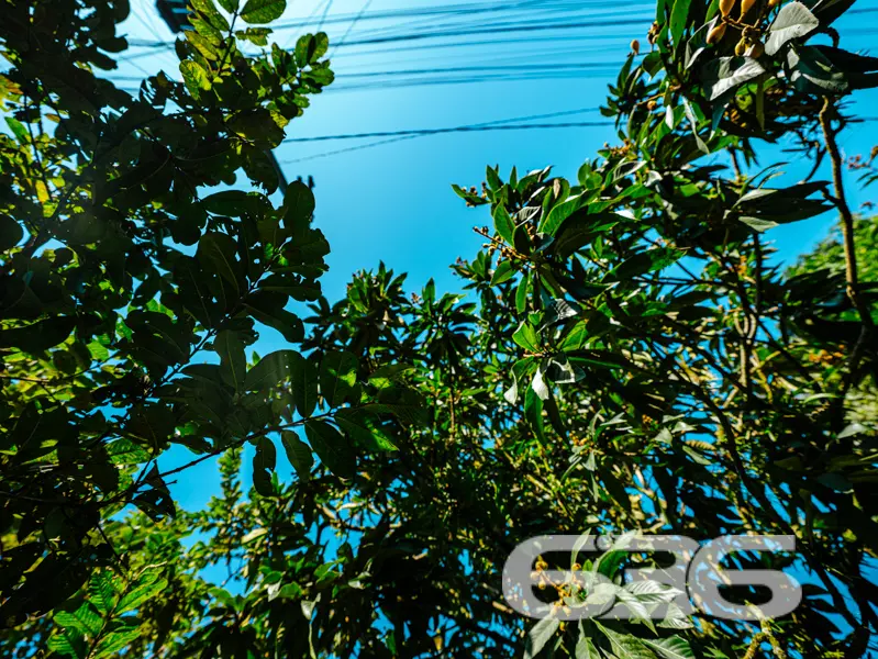 Oportunidade no Bairro Itaum: residência térrea em