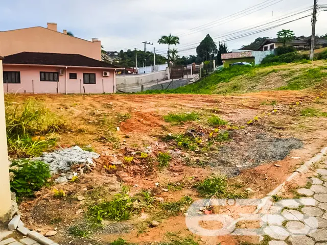 Descubra as possibilidades ilimitadas que aguardam