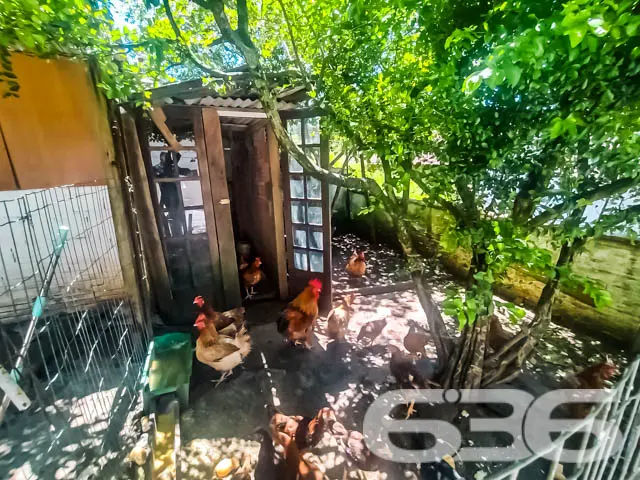 CASA COM 4 DORMITÓRIOS NO BAIRRO JARIVATUBA
Descu