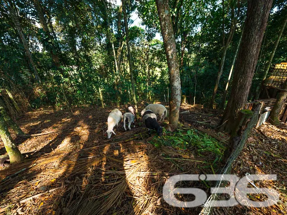 OPORTUNIDADE IMPERDÍVEL! RECREATIVA LUCRATIVA EM A