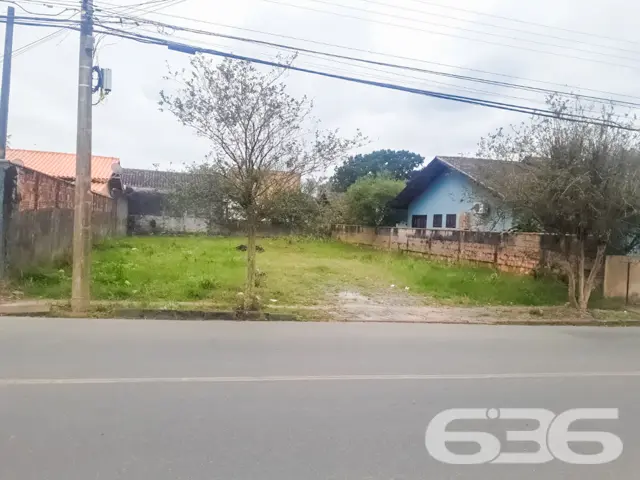 ???????? Um Sonho que Floresce no Bairro Floresta,