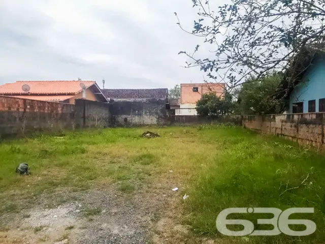 ???????? Um Sonho que Floresce no Bairro Floresta,