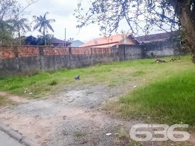 ???????? Um Sonho que Floresce no Bairro Floresta,