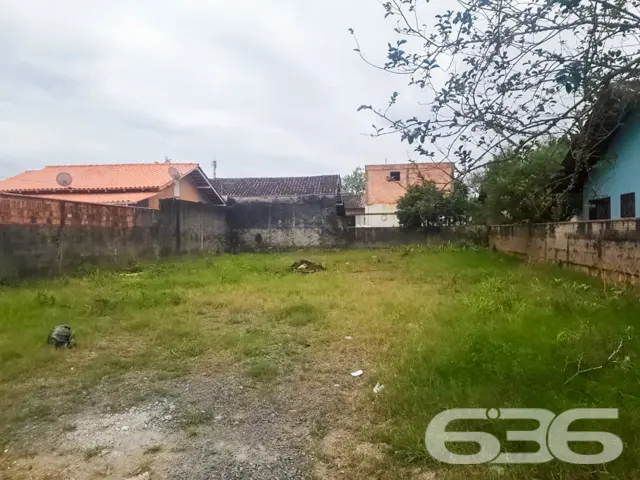 ???????? Um Sonho que Floresce no Bairro Floresta,
