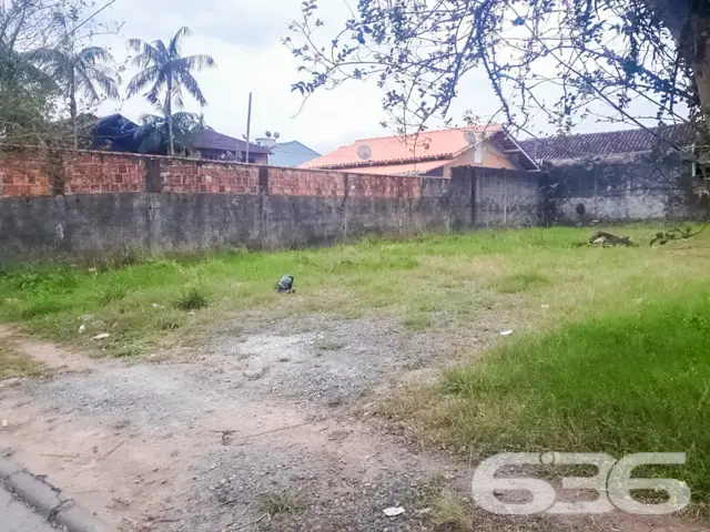 ???????? Um Sonho que Floresce no Bairro Floresta,