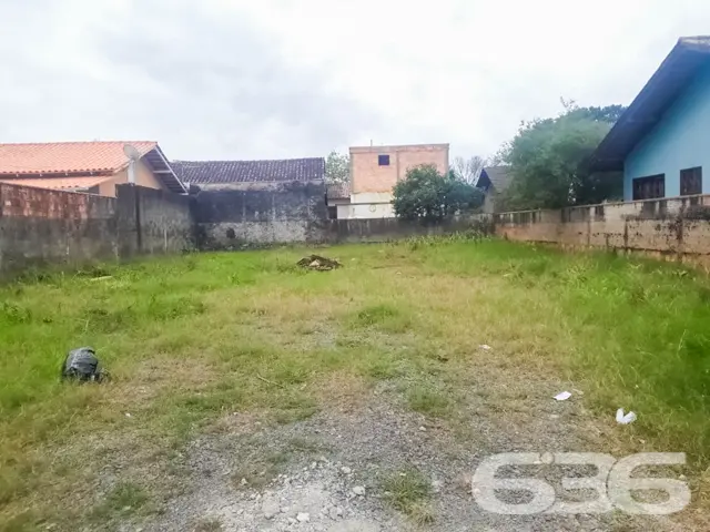 ???????? Um Sonho que Floresce no Bairro Floresta,