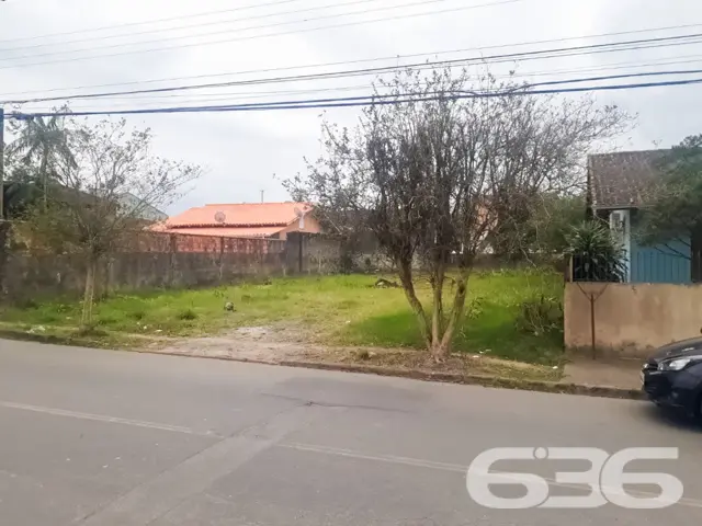 ???????? Um Sonho que Floresce no Bairro Floresta,
