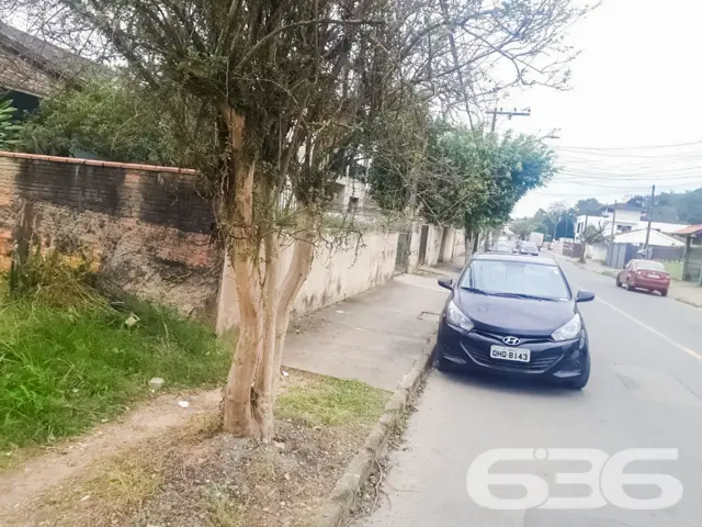 ???????? Um Sonho que Floresce no Bairro Floresta,