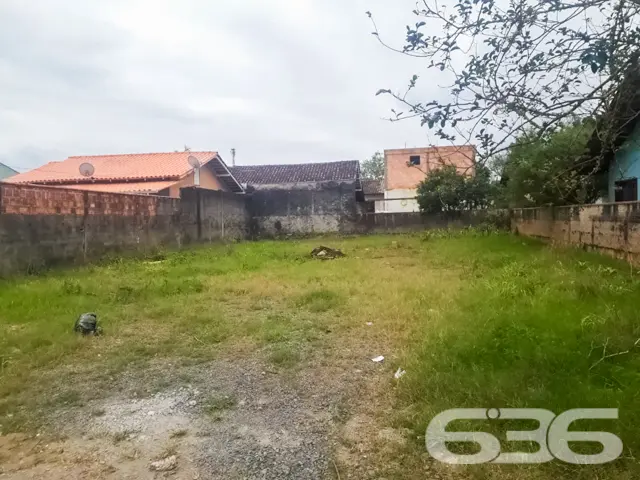 ???????? Um Sonho que Floresce no Bairro Floresta,