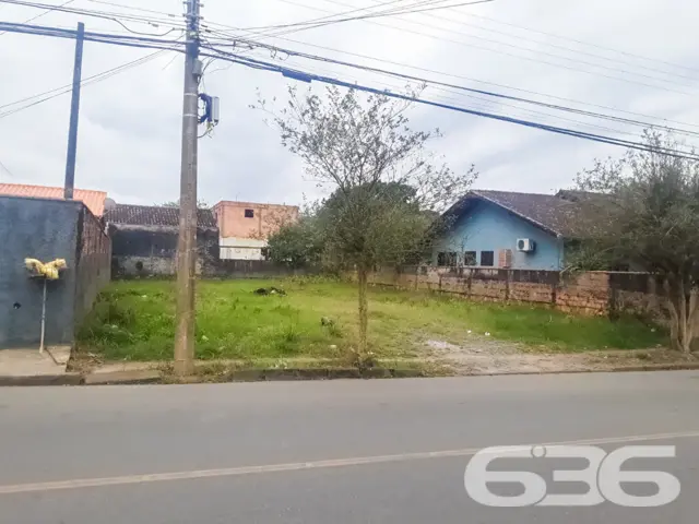 ???????? Um Sonho que Floresce no Bairro Floresta,