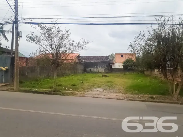 ???????? Um Sonho que Floresce no Bairro Floresta,