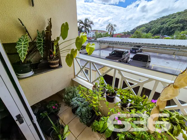 Apartamento no bairro Glória, descubra o equilíbri