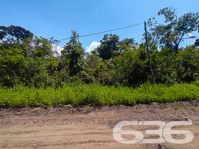 VENDE-SE AMPLO TERRENO NO ERVINO, SÃO FRANCISCO DO