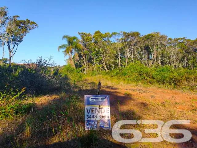 VENDE-SE ÓTIMO TERRENO NO BAIRRO ERVINO - SÃO FRAN