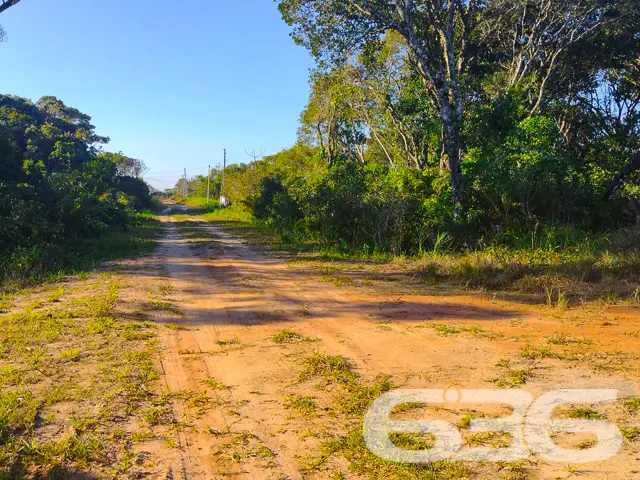 VENDE-SE ÓTIMO TERRENO NO BAIRRO ERVINO - SÃO FRAN