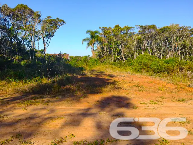 VENDE-SE ÓTIMO TERRENO NO BAIRRO ERVINO - SÃO FRAN