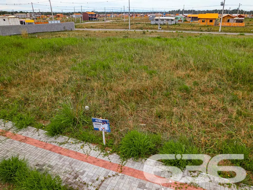 LOTE À VENDA EM ARAQUARI - COLÉGIO AGRÍCOLA
Imagi