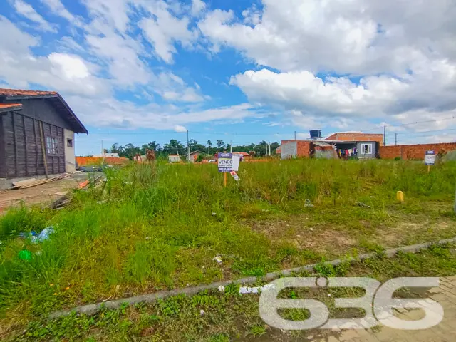 A Oportunidade Perfeita para Construir o Lar dos S