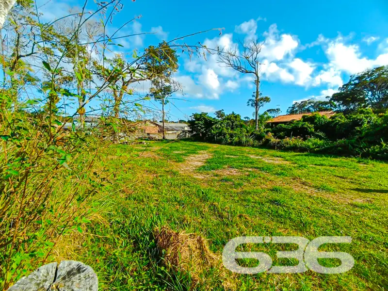 Terreno plano e pronto para construir a poucos met
