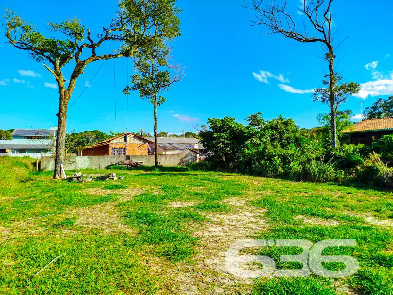Terreno plano e pronto para construir a poucos met