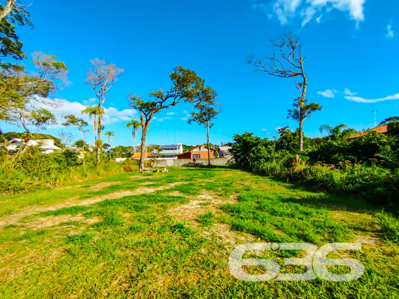 Terreno plano e pronto para construir a poucos met
