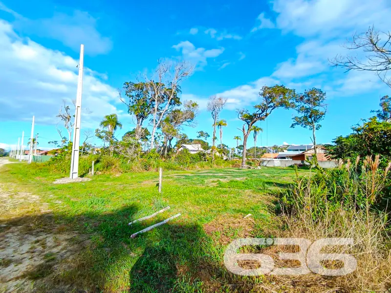 Terreno plano e pronto para construir a poucos met