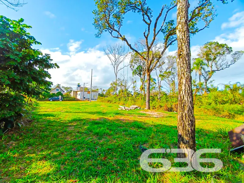 Terreno plano e pronto para construir a poucos met